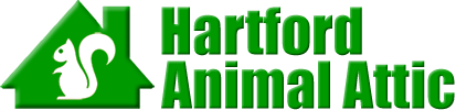 Hartford Animal Attic